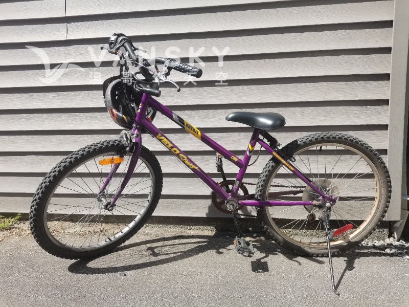 260721180559_4. Purple bicycle.jpg